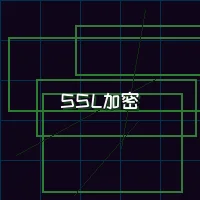 91棋牌 量子加密网络SSL安全认证